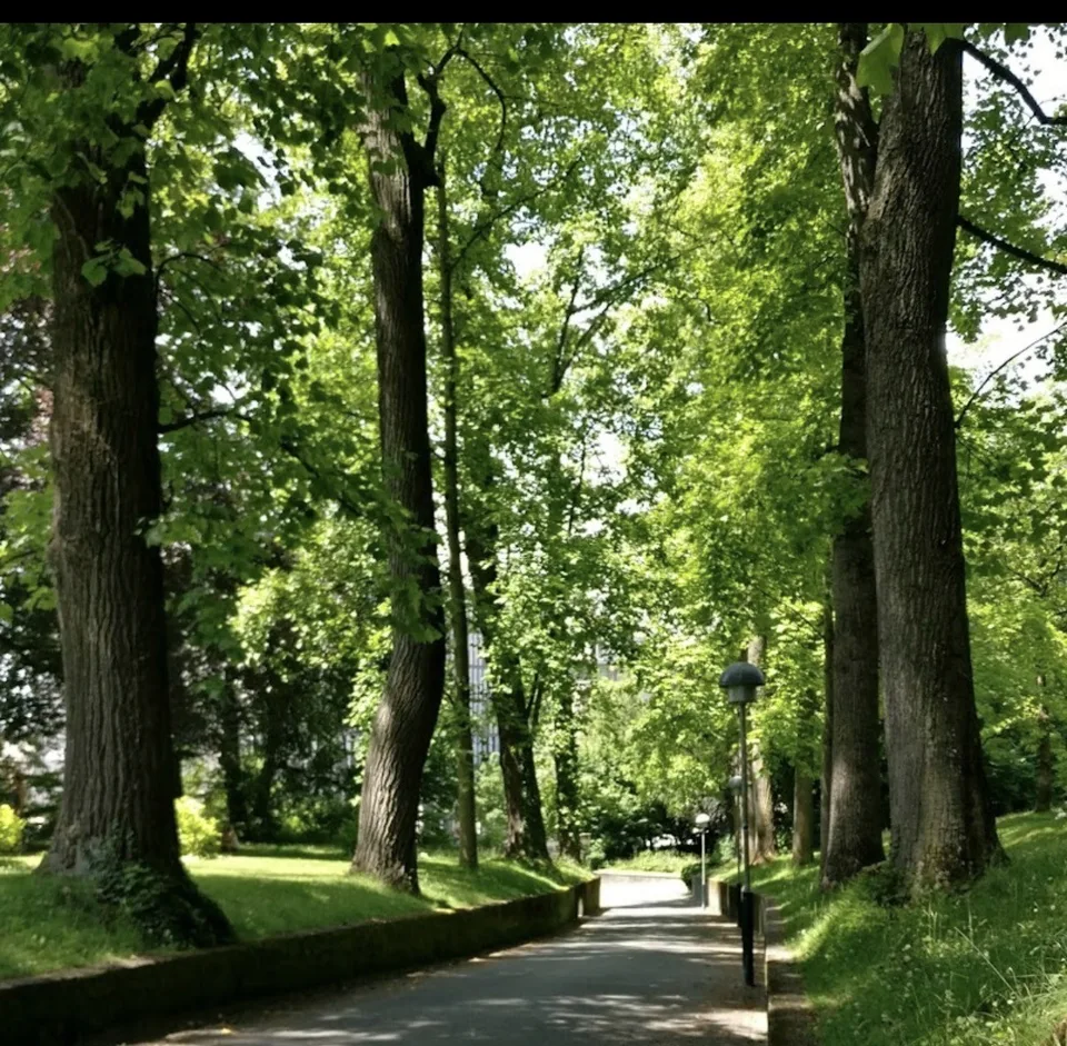 Rare Family Apartment for Lease Takeover Lausanne (Parc de Mon-Repos)