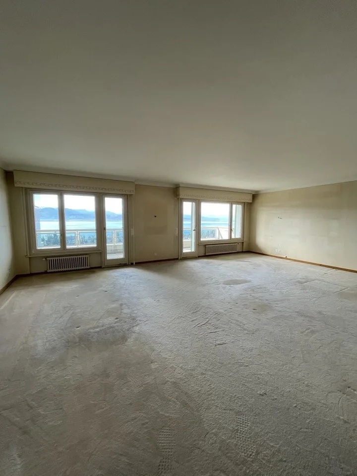 Grand logement avec vue sur le lac