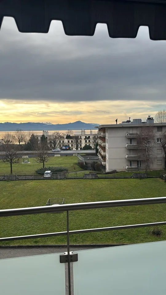 Bel appartement de 3.5 pièces avec cheminée et grand balcon avec vue