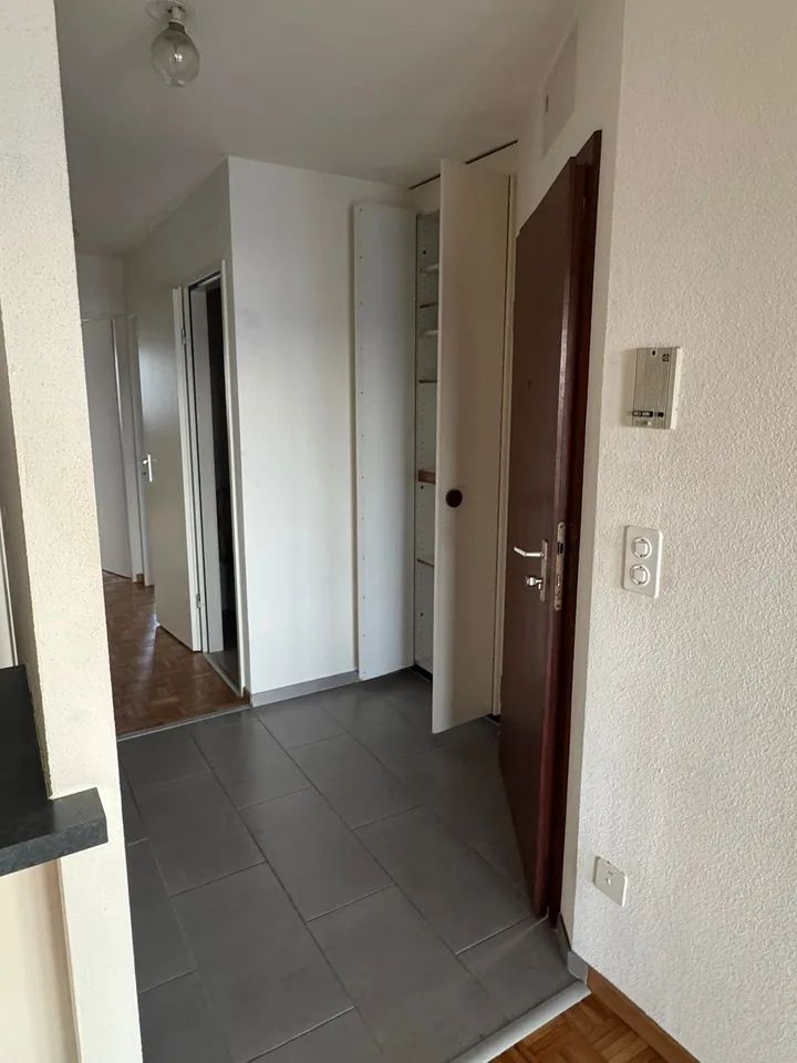 Bel appartement de 3.5 pièces avec cheminée et grand balcon avec vue