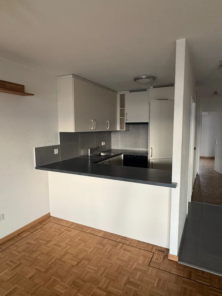 Bel appartement de 3.5 pièces avec cheminée et grand balcon avec vue