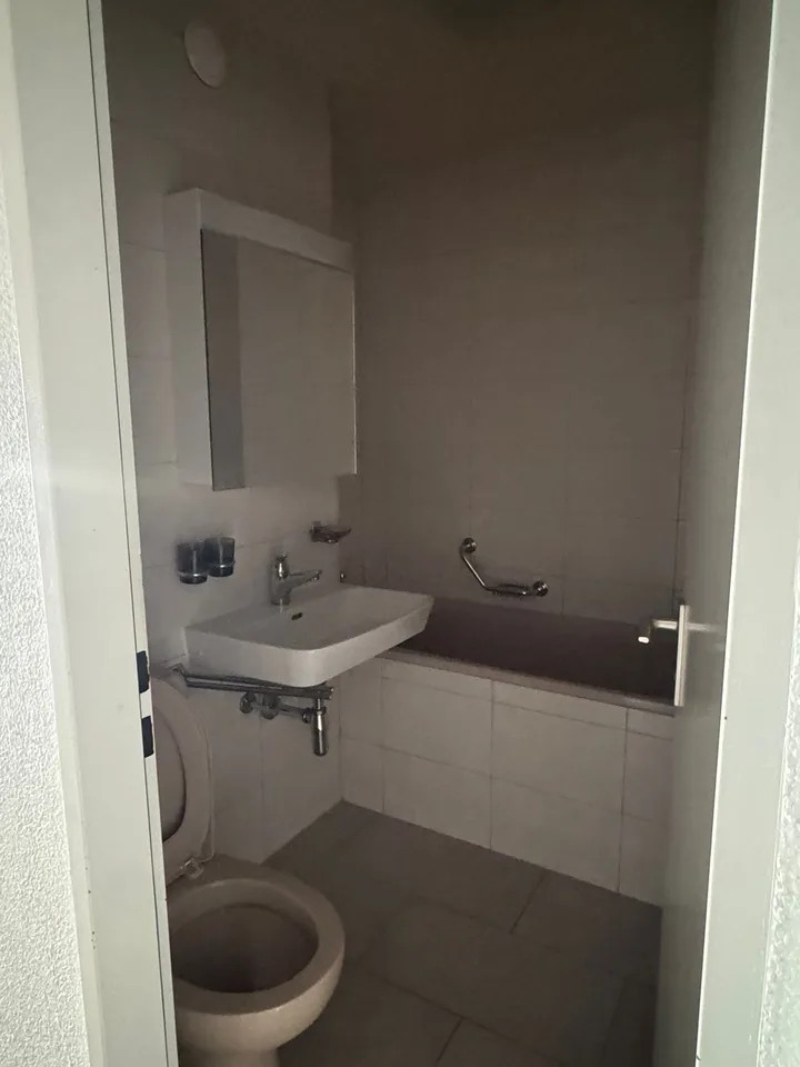Bel appartement de 3.5 pièces avec cheminée et grand balcon avec vue