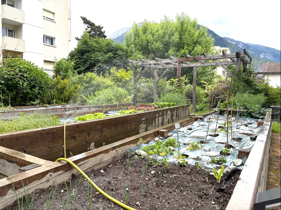 Appartement haut de gamme, avec services et zones partagées, au coeur de Sierre