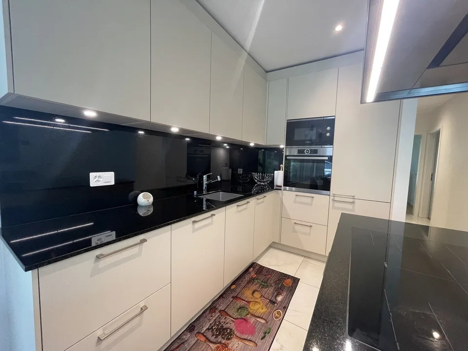 Furnished 4-room apartment with private terrace, private garden & private garage box near UN