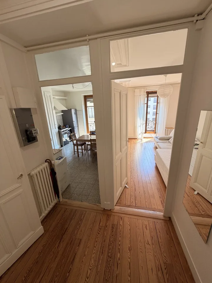 2 pièces meublé, lumineux et central — Plainpalais, proche Université / Bright furnished 2-room flat in central Geneva, near the University