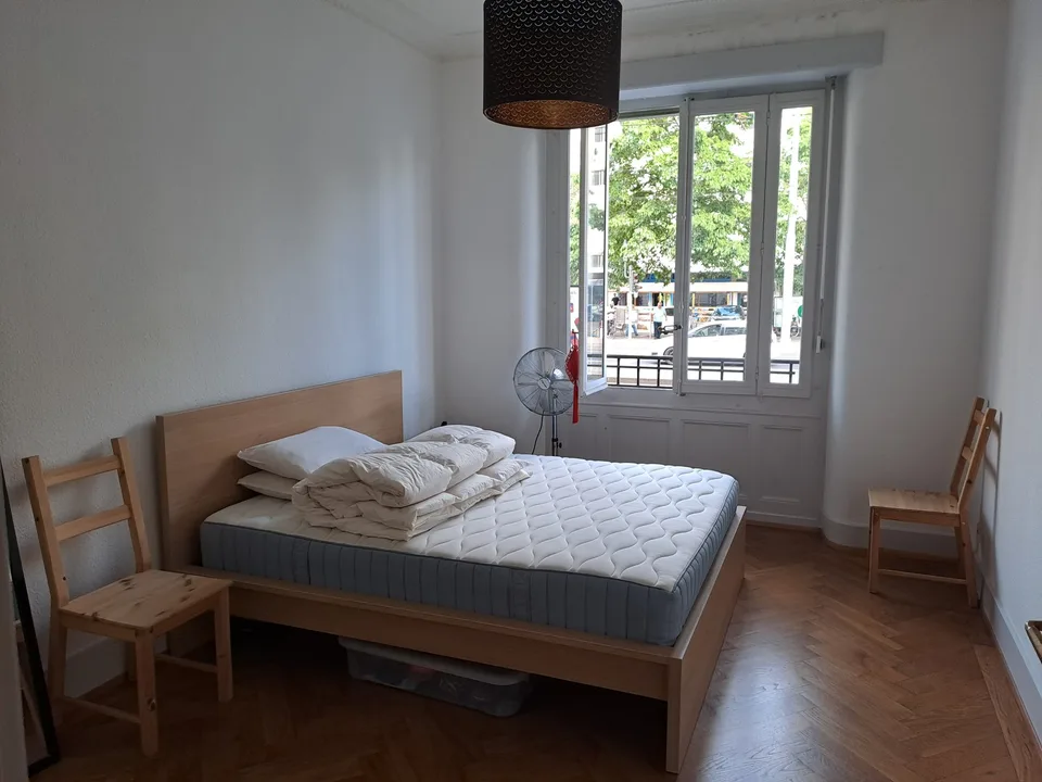 Sublet apartment T2 in Geneve, 50 sqm, fully furnished