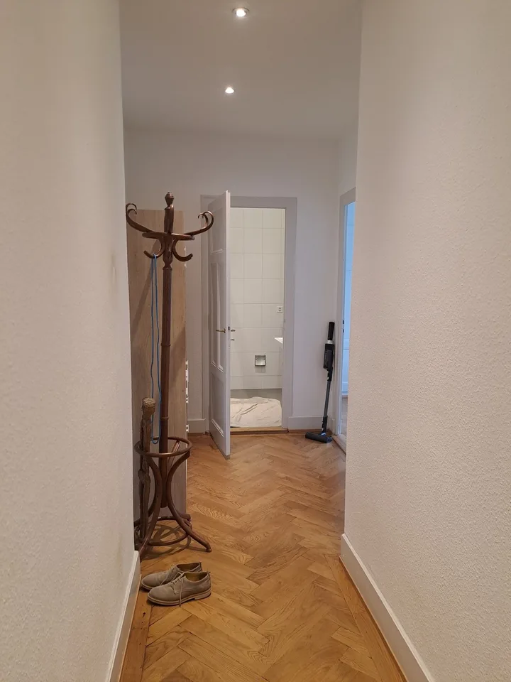 Sublet apartment T2 in Geneve, 50 sqm, fully furnished