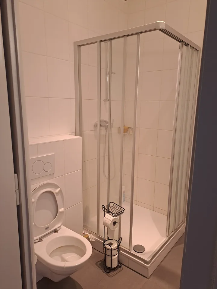 Sublet apartment T2 in Geneve, 50 sqm, fully furnished