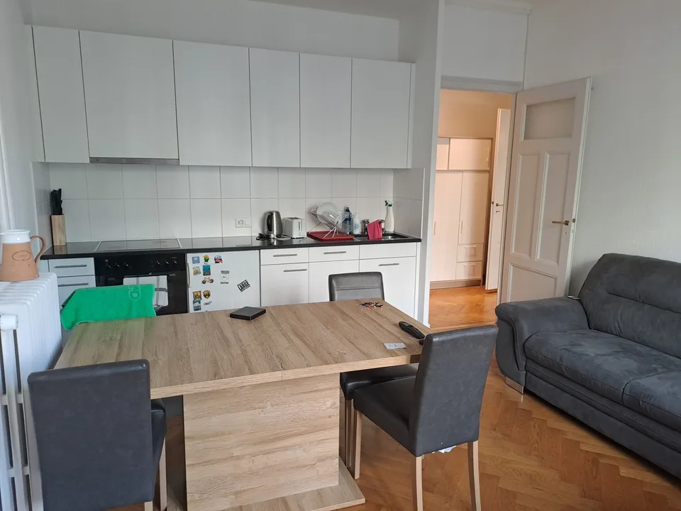 Sublet apartment T2 in Geneve, 50 sqm, fully furnished