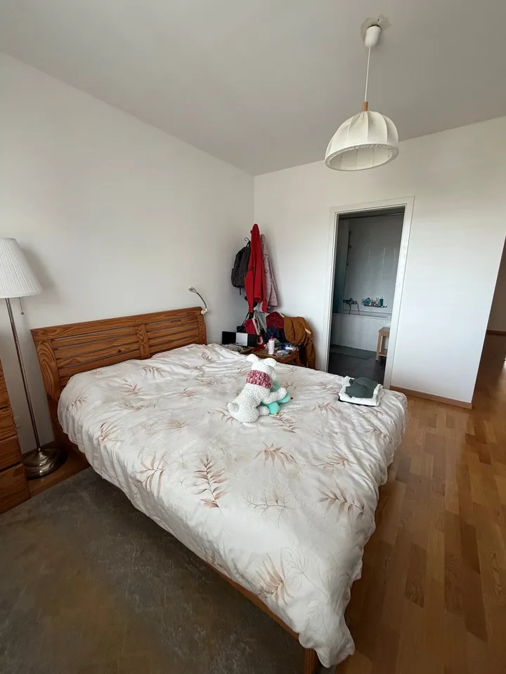 Très bel appartement familial - Petit Saconnex