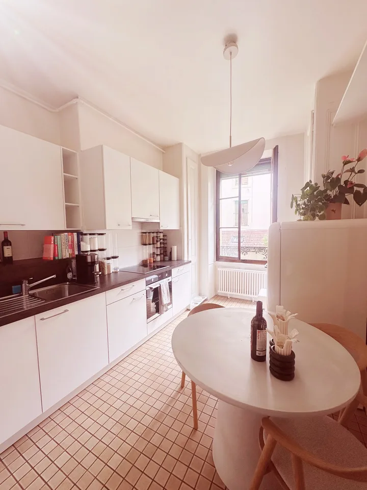 cozy lakeside apartment in Eaux-Vives