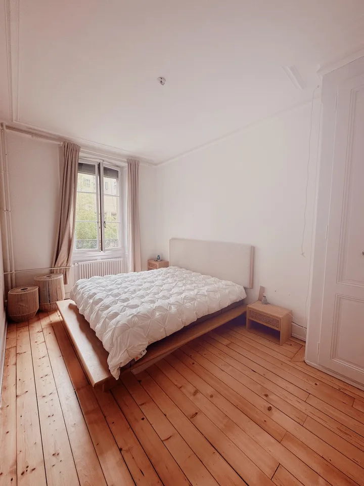 cozy lakeside apartment in Eaux-Vives