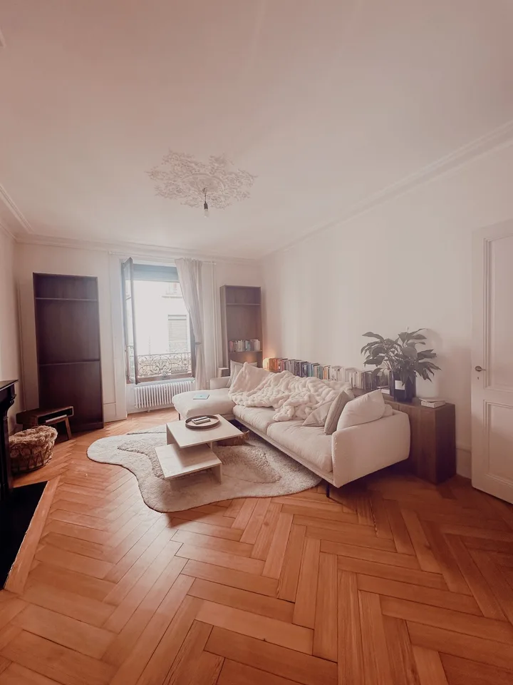cozy lakeside apartment in Eaux-Vives