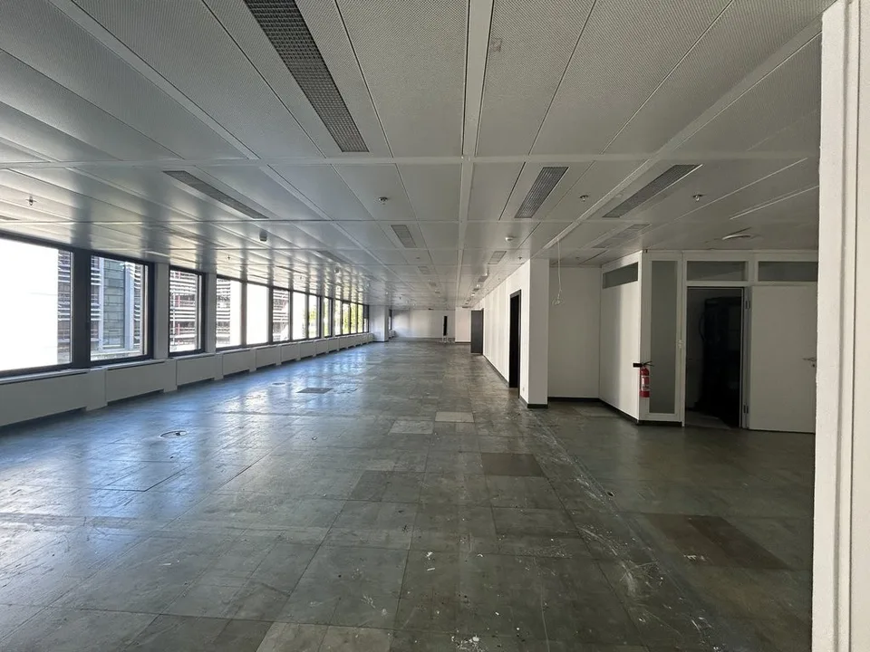Bureau 277 m 2 - Avenue des Morgines 12, Petit-Lancy – photo 6 of 7
