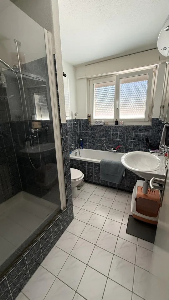 3.5 Zimmer Wohnung in Emmen 6032