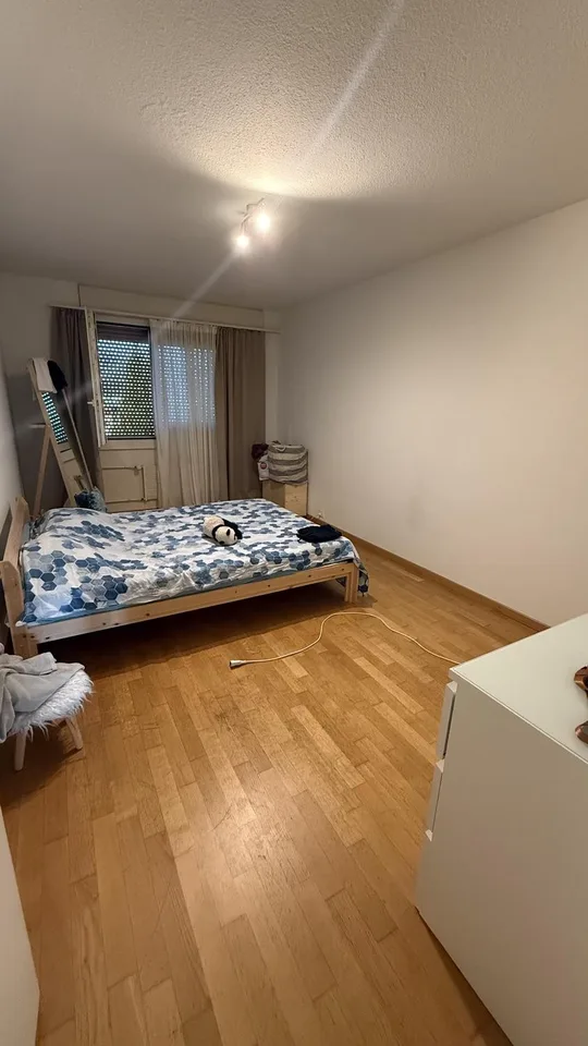 3.5 Zimmer Wohnung in Emmen 6032