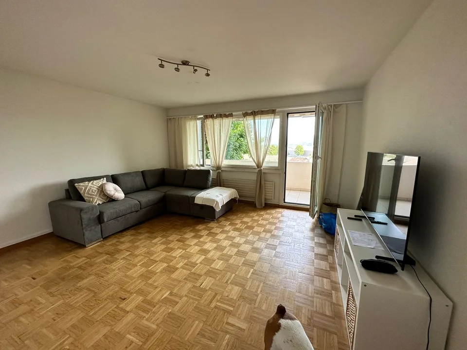 3.5 Zimmer Wohnung in Emmen 6032
