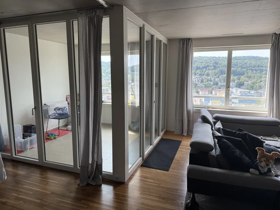 apartment in Schlieren