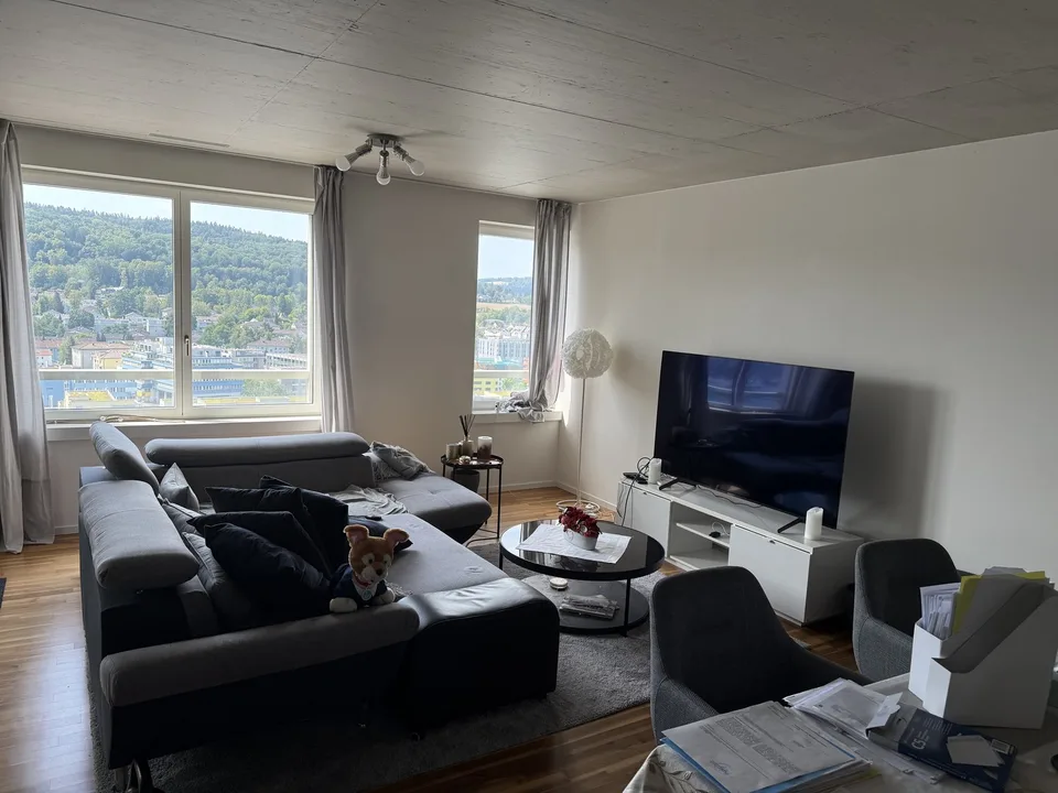 apartment in Schlieren