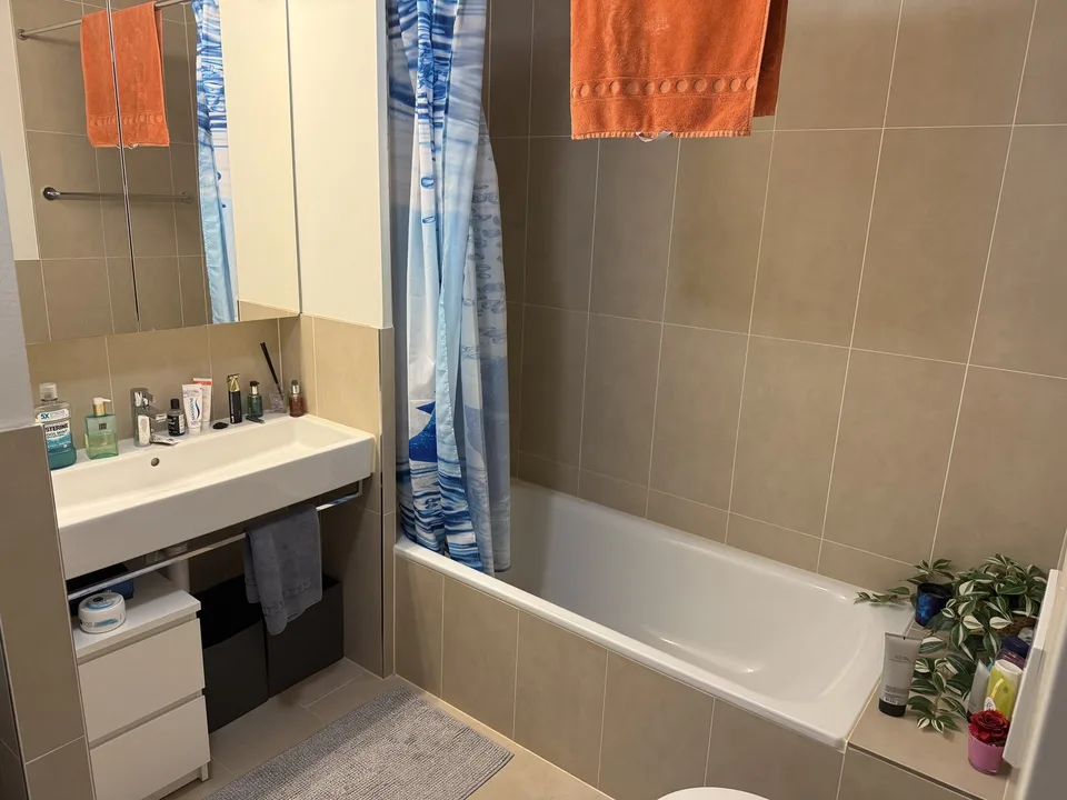 apartment in Schlieren