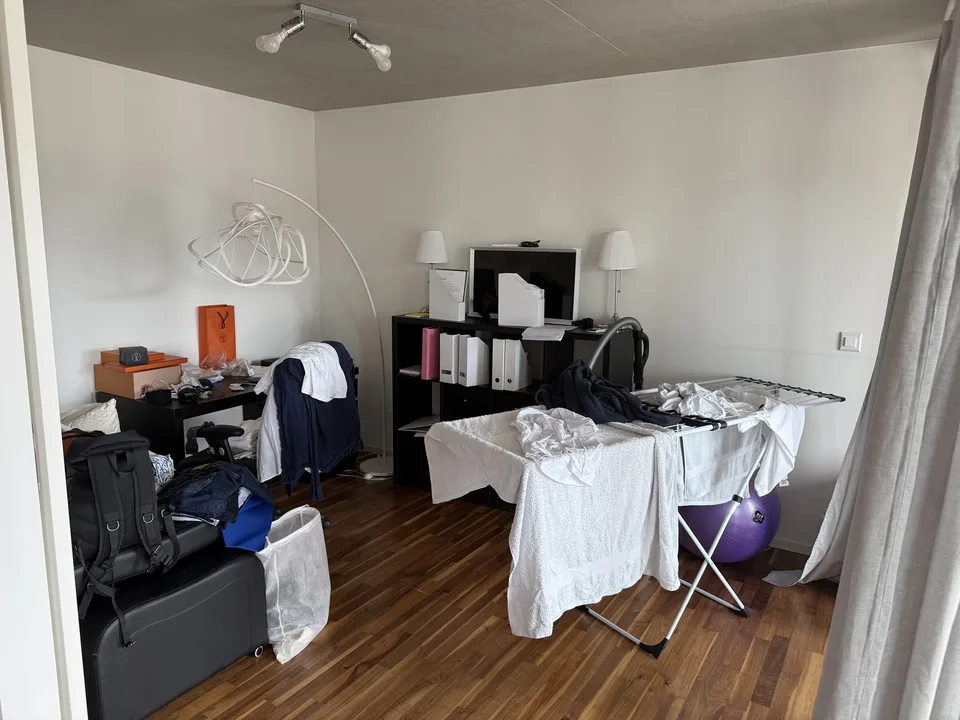 apartment in Schlieren