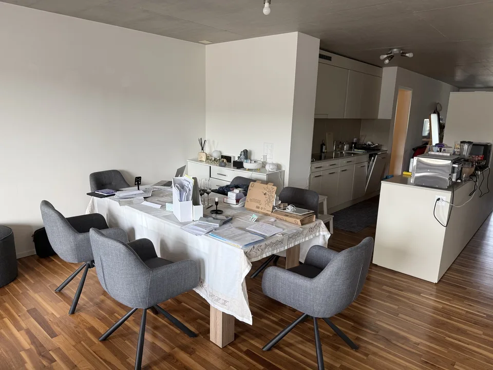 apartment in Schlieren