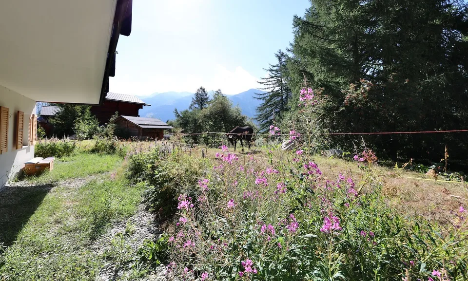 Wohnen im Familien-, Sport- & Freizeitparadies Bellwald