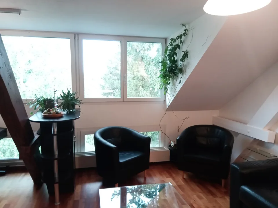 Quiet, fully furnished room in green Gellert – spacious shared home near Basel SBB