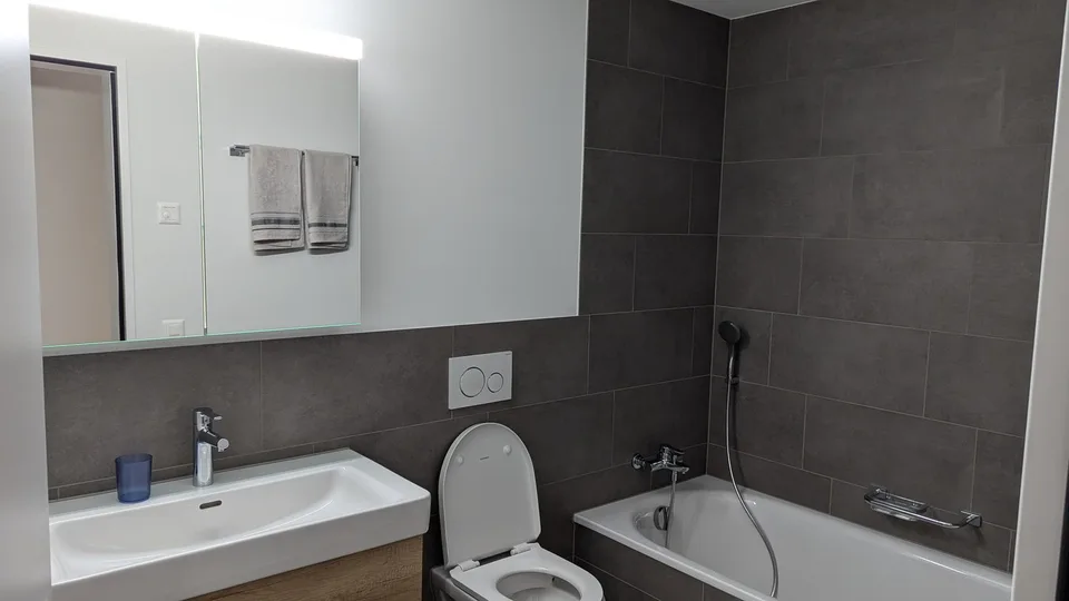 Furnished Temporary Rental (8 months)