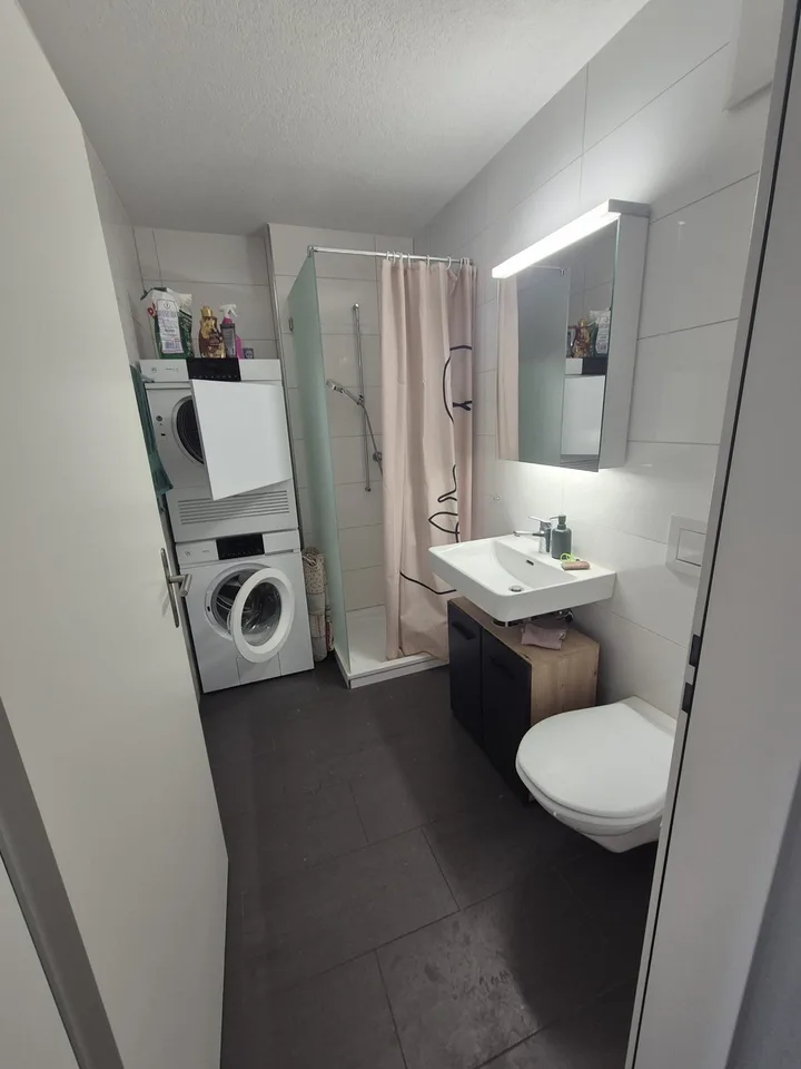Temporary furnished apartment available from August until February/March 2027.