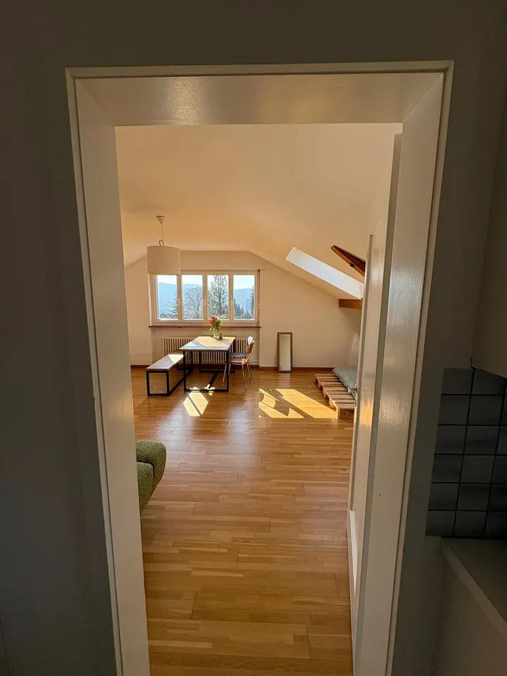 Befristet ab Januar 2027: Helle, möblierte Wohnung befristet in Höngg