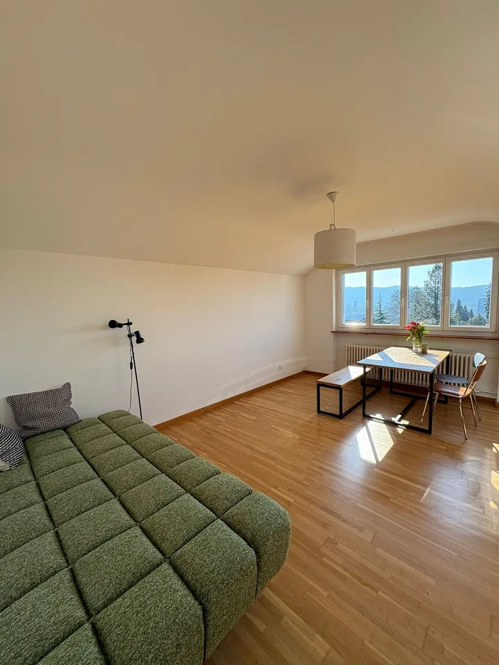 Befristet ab Januar 2027: Helle, möblierte Wohnung befristet in Höngg