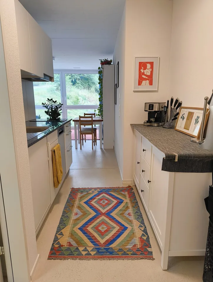 1 Room Apartment in Aesch (ZH)