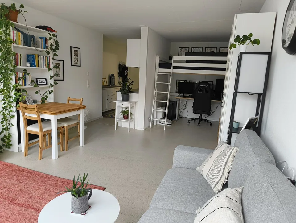 1 Room Apartment in Aesch (ZH)