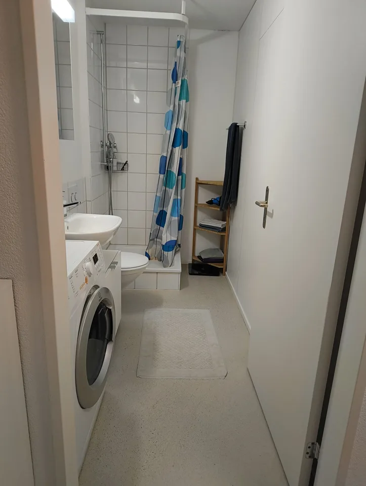 1 Room Apartment in Aesch (ZH)