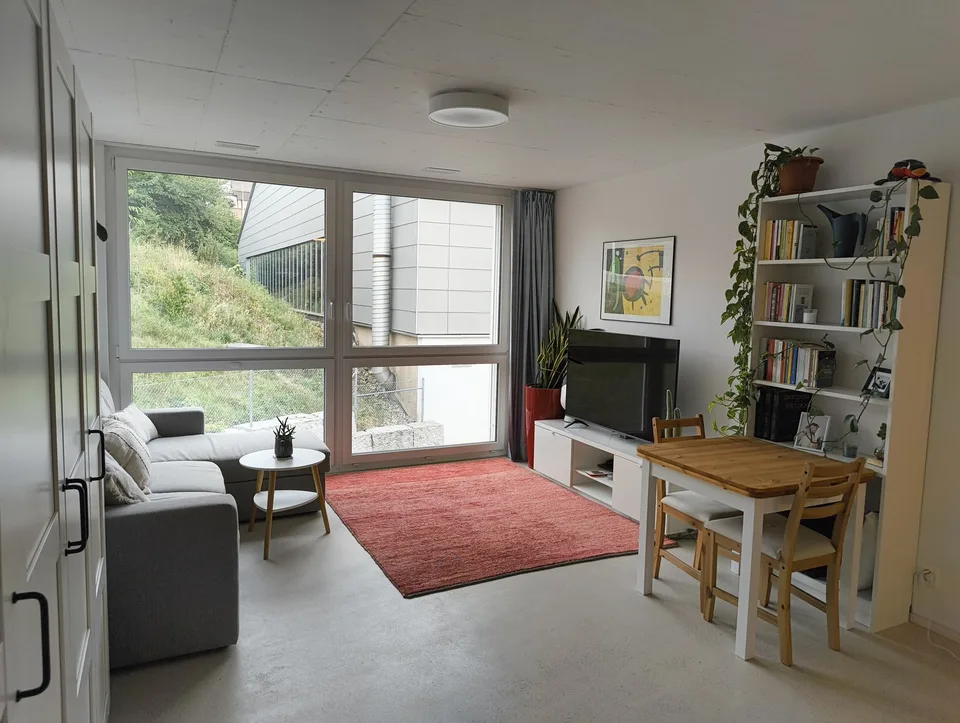 1 Room Apartment in Aesch (ZH)