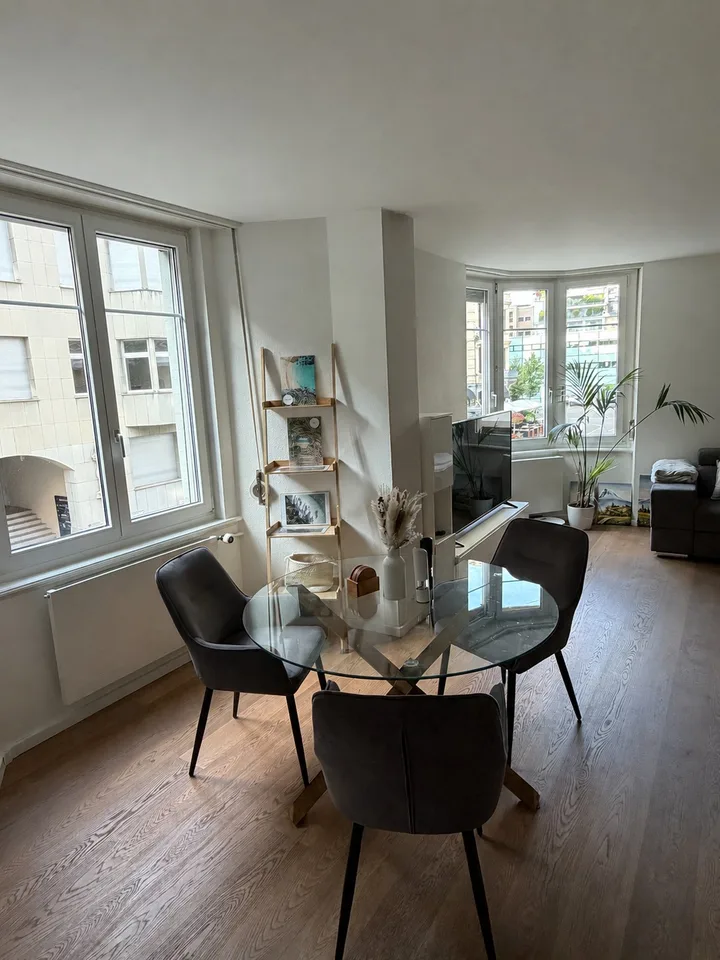 Modern Furnished Apartment | Lake Zurich | Short-Term
