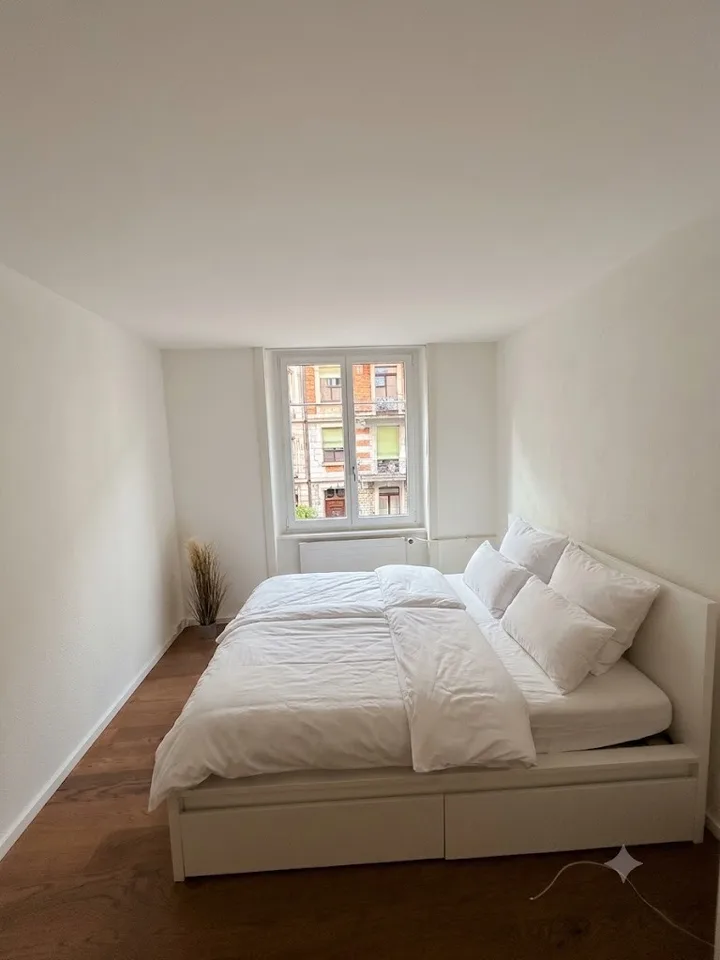 Modern Furnished Apartment | Lake Zurich | Short-Term