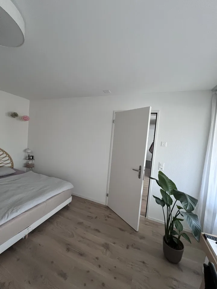 2.5 Zimmer-Wohnung in Rupperswil AG