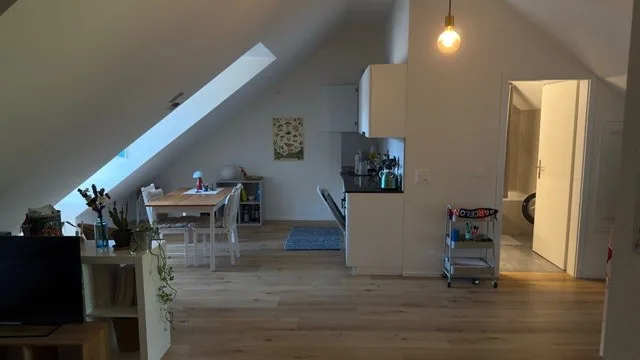 Neu renovierte, charmante Dachwohnung!