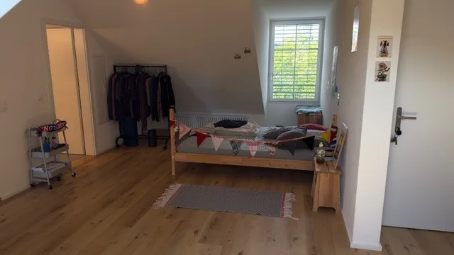 Neu renovierte, charmante Dachwohnung!