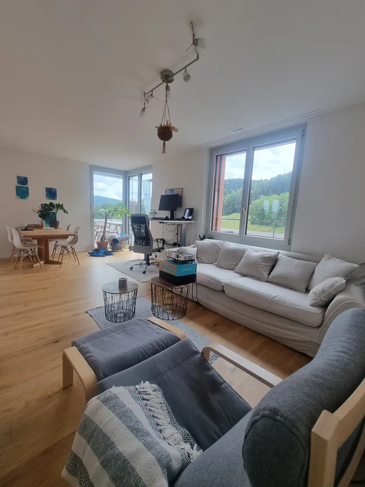 Neuwertige 2.5 Zimmer Attika (befristet, möbliert)