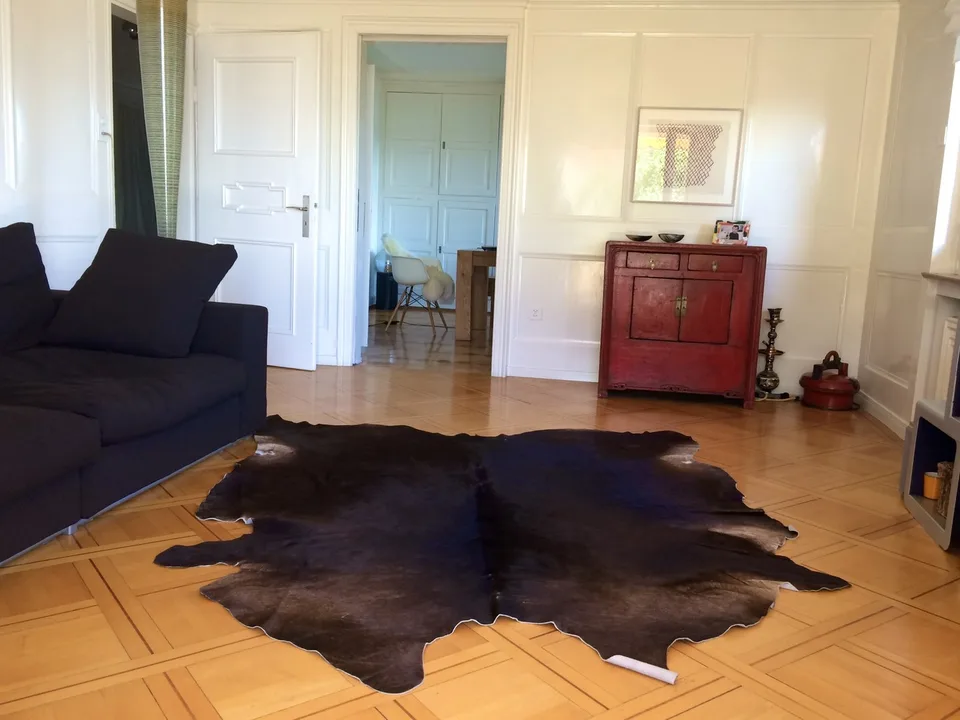 BEFRISTET!!! Einzigartige 4 Zimmer Wohnung in Kilchberg, möbliert (befristet 5.-26.9.)