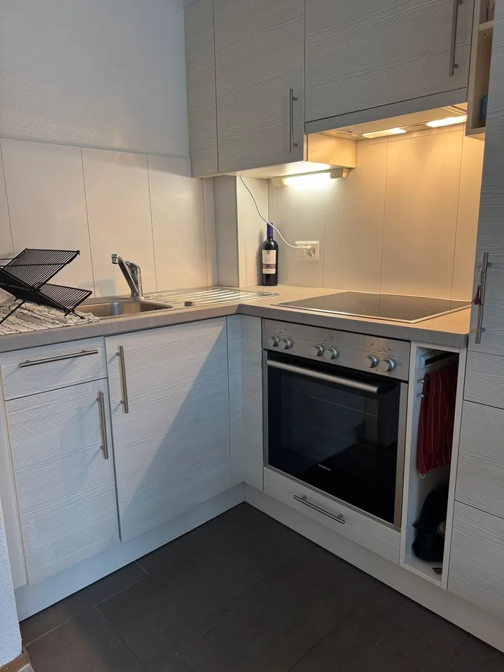 Fully Furnished Apartment with Large Balcony in Zürich