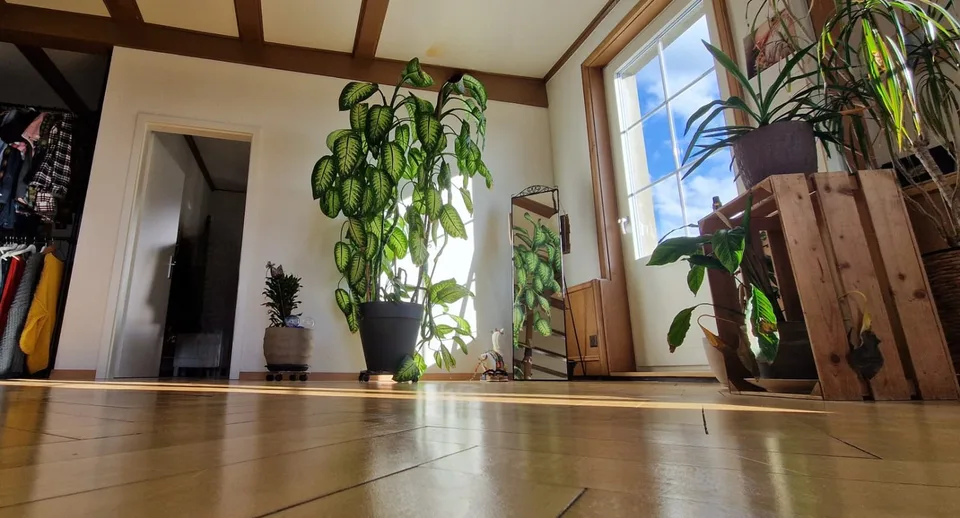 Lichtdurchflutete Loft-Wohnung im ehemaligen Tanzsaal