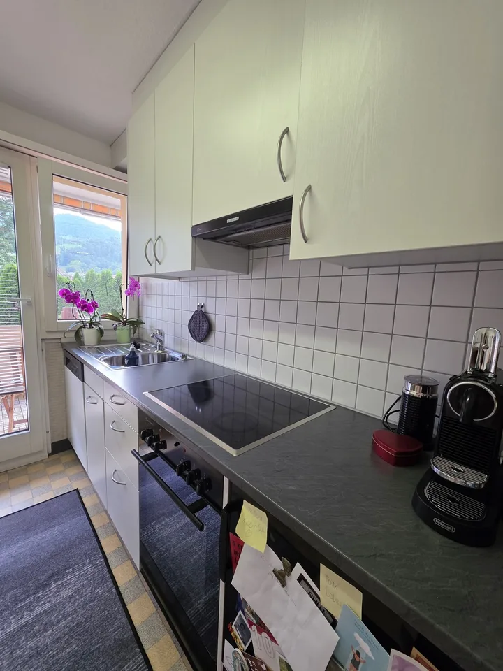 Helle 2-Zimmer-Wohnung direkt beim Bahnhof Horw mit Balkon