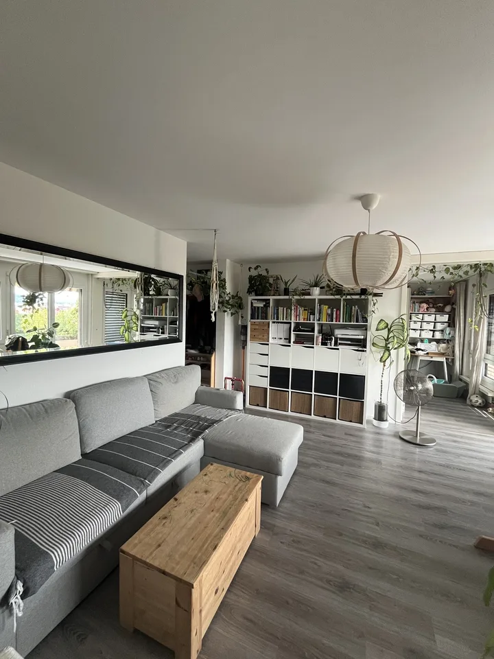 Sonnige Wohnung mit riesiger Terrasse in der unmittelbaren Nähe von Limmat