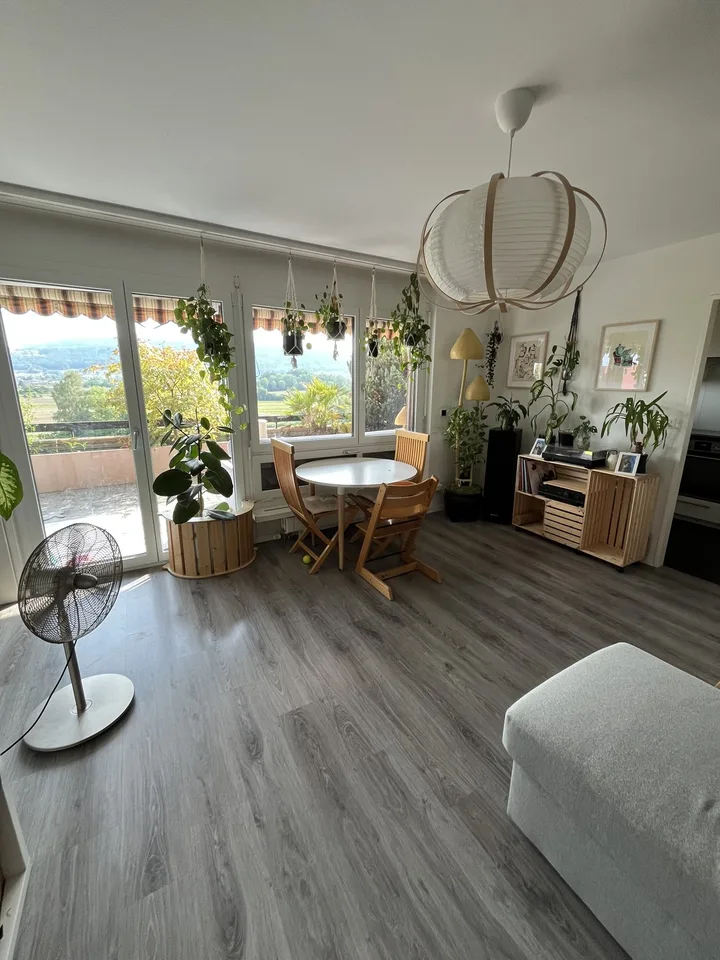 Sonnige Wohnung mit riesiger Terrasse in der unmittelbaren Nähe von Limmat