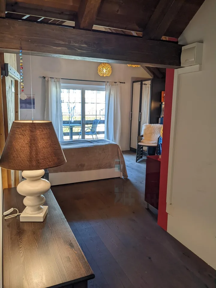möblierte 1.5 Zimmerwohnung