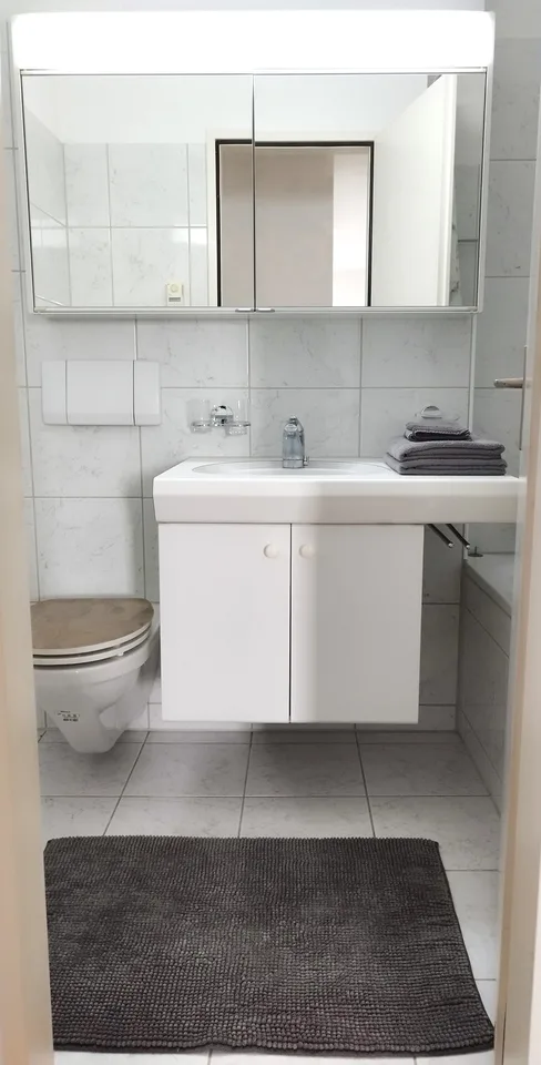 Moderne 4.5-Zimmer-Wohnung (2er-WG) mit Grillplatz und Boccia-Bahn; 10min vom Bahnhof Uster und dem Stadtzentrum entfernt